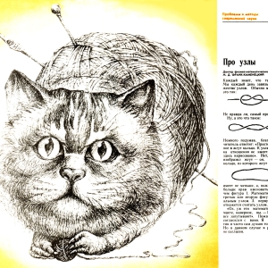 knots-1-cat